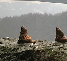 Annual Report Design Anchorage Prince William Sound