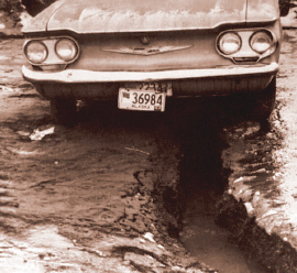 valdez museum rack card design